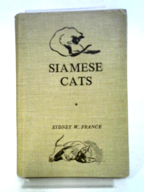 Siamese Cats By Sydney W. France