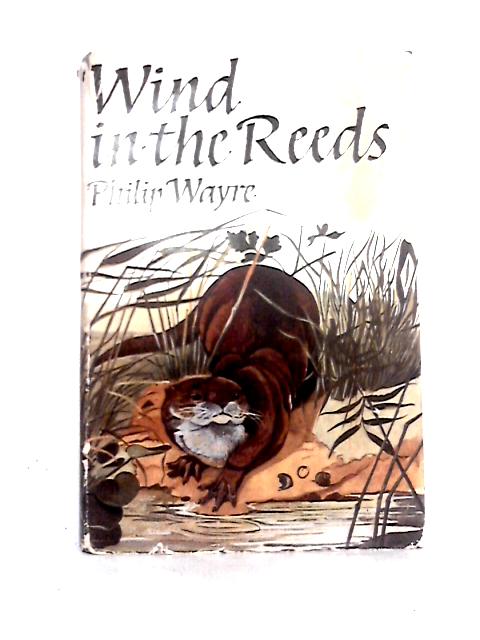 Wind in the Reeds By Philip Wayre