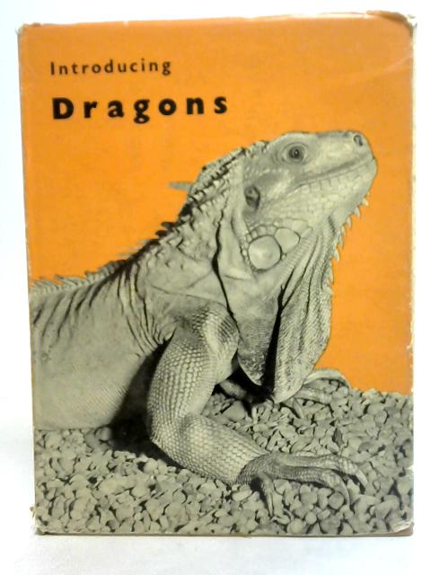 Introducing Dragons By V.J. Stanek