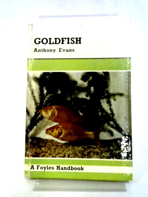 Goldfish By Anthony evans