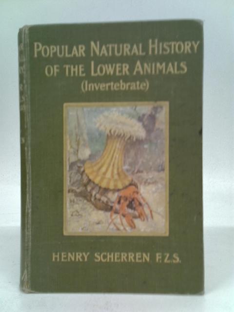 Popular Natural History of the Lower Animals (Invertebrates) By Henry Scherren