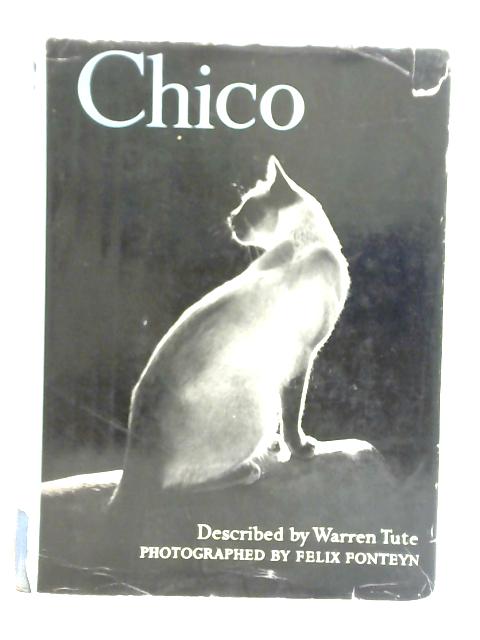 Chico von Warren Tute