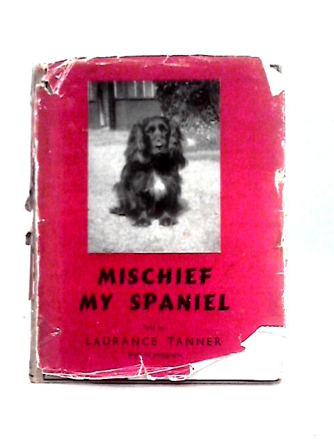 Mischief My Spaniel By Laurence Tanner