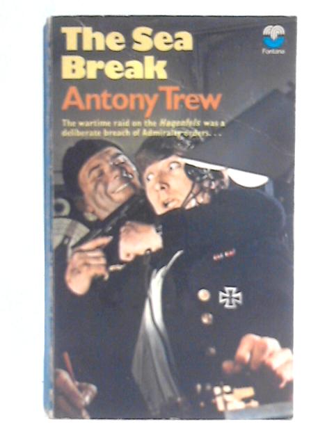 The Sea Break By Antony Trew