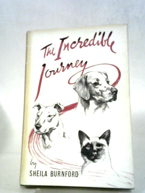 The Incredible Journey the Story of Three Animals von Sheila Burnford