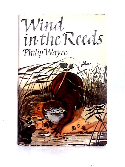 Wind in the Reeds By Philip Wayre