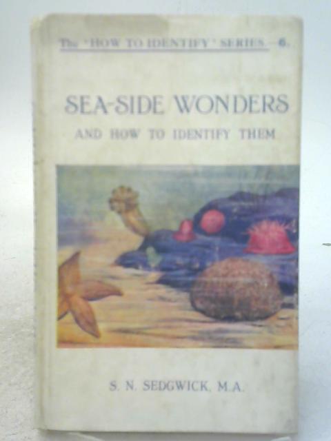 Seaside Wonders and How to Identify Them By S N Sedgwick
