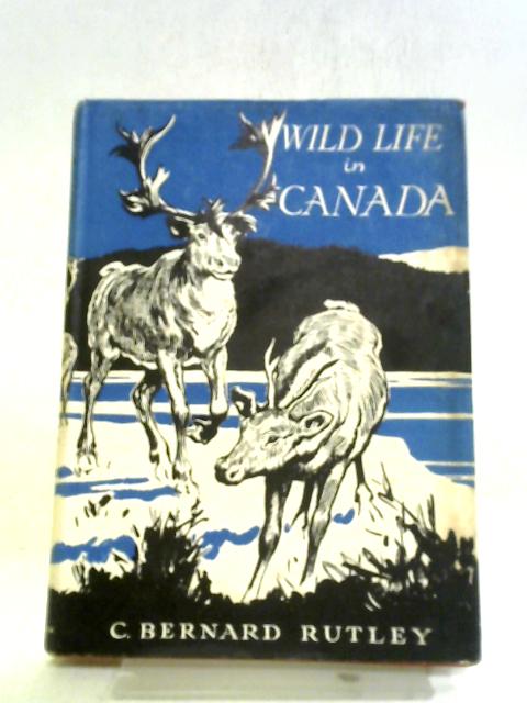 Wild Life In Canada von C. Bernard Rutley