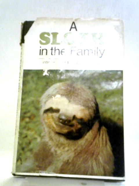 A Sloth In The Family von Hermann Tirler