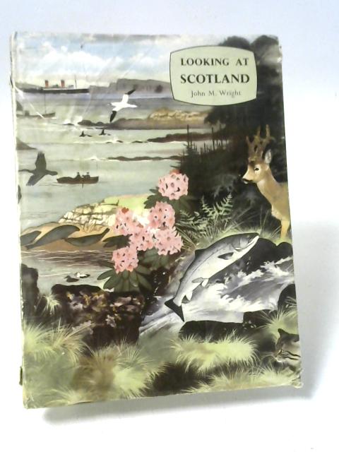 Looking At Scotland By John M. Wright