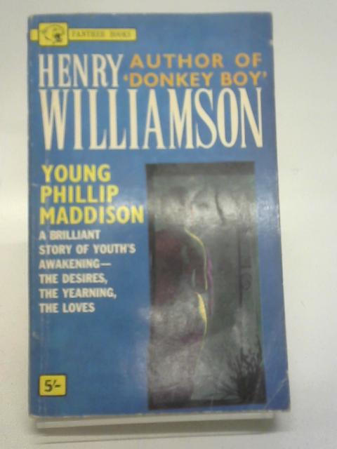 Young Phillip Maddison By Henry Williamson