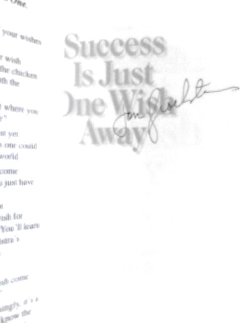 Success Is Just One Wish Away: Make One Wish & Your Life Suddenly Changes, but Make Sure It's the Right One von Jon Spoelstra