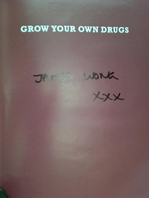 Grow Your Own Drugs, Easy Recipes for Natural Remedies and Beauty Fixes By Wong, James