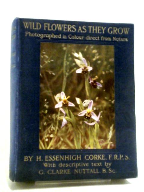 Wild Flowers As They Grow von G Clarke Nuttall