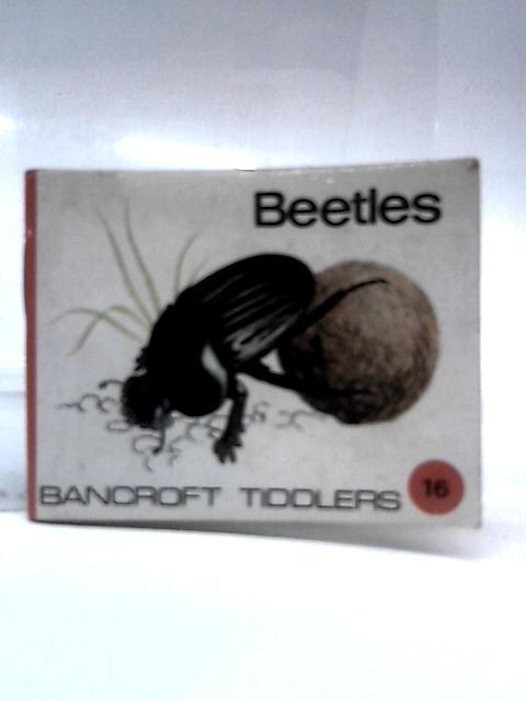 Beetles (Tiddlers Book 16) By David Cook