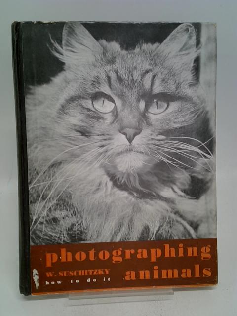 Photographing Animals By W. Suschitzky