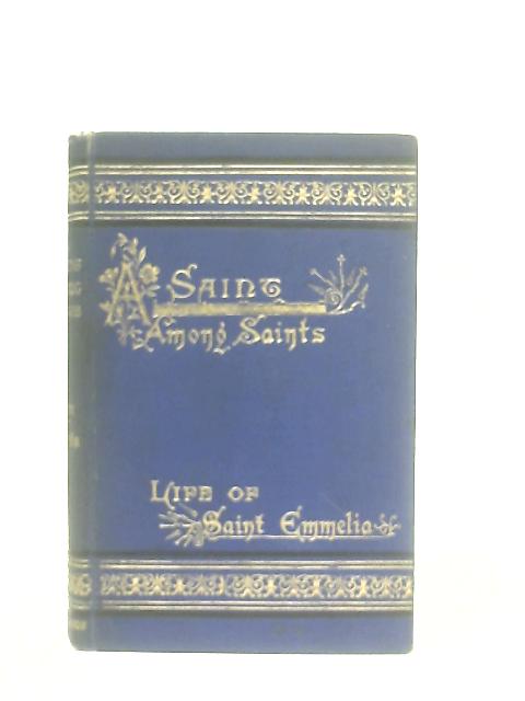 A Saint Among Saints By S.M.S.