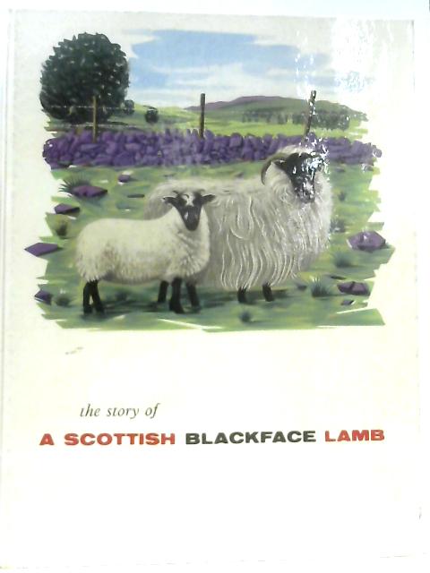 The Story of A Scottish Blackface Lamb By Anon