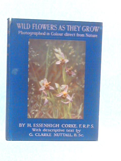 Wild Flowers as They Grow By H.Essenhigh Corke