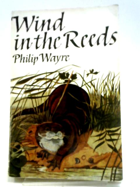 Wind In The Reeds By Philip Wayre
