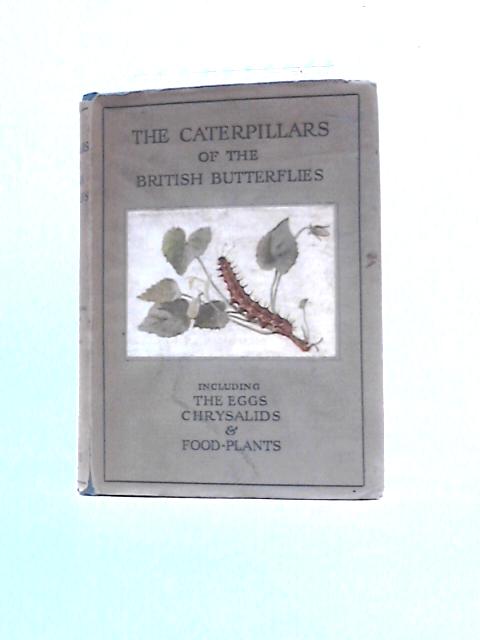 The Caterpillars of the British Butterflies By W.J.Stokoe G.H.T.Stovin (Ed.)