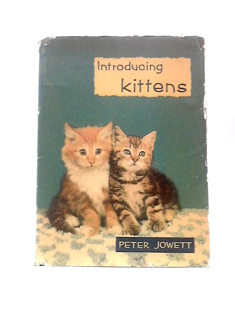 Introducing Kittens von Peter Jowett