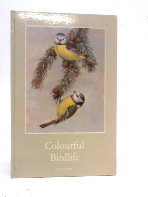 Colourful Birdlife By John Gould