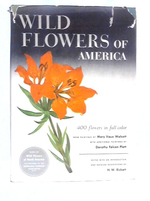 Wild Flowers Of America