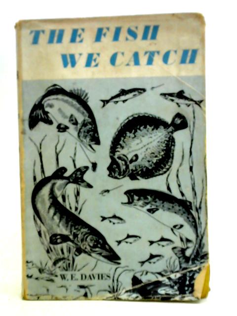 Fish We Catch By William Ernest Davies