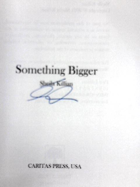 Something Bigger By Sheila Killian