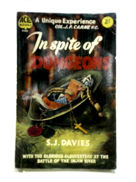 In Spite of Dungeons von S.J. Davies