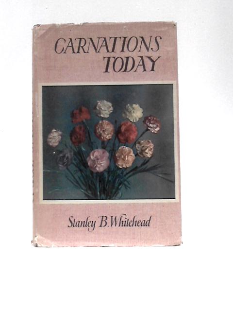 Carnations Today By Stanley B.Whitehead