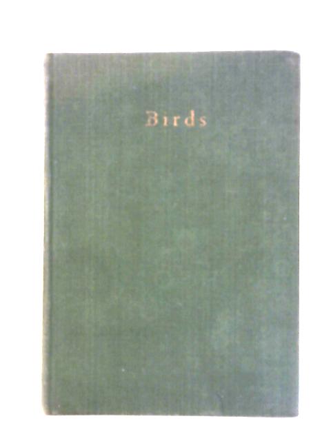 Birds By M. K. C. Scott