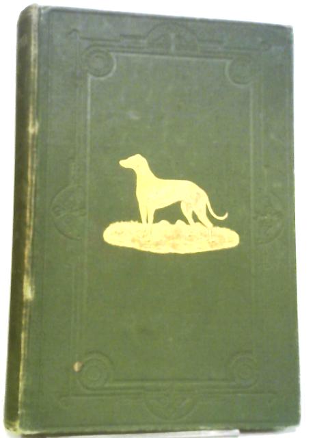 The Greyhound Stud Book Volume XXXI (1912) By W.F. Lamonby