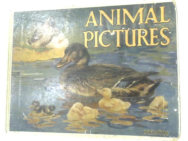 Animal Pictures By Anon