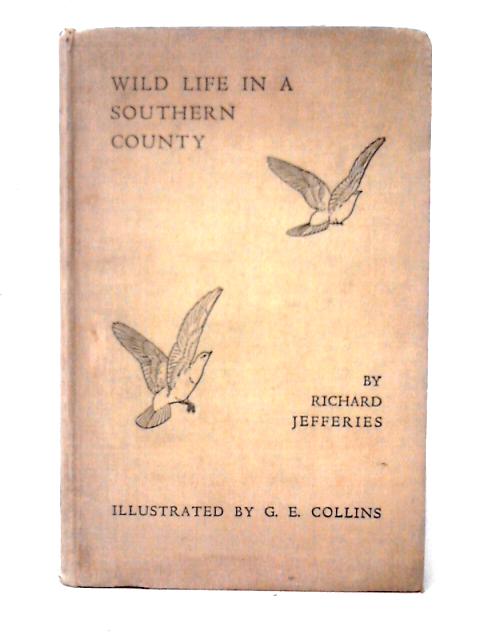 Wild Life In A Southern Country von Richard Jefferies