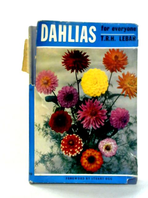 Dahlias For Everyone By T R H Lebar
