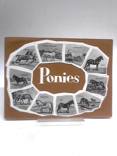 Ponies By R. S. Summerhays