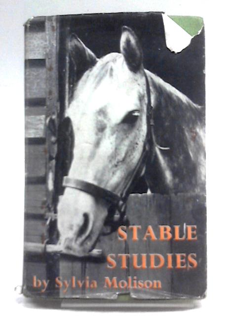 Stable Studies: Characters Good And Bad von Sylvia Molison