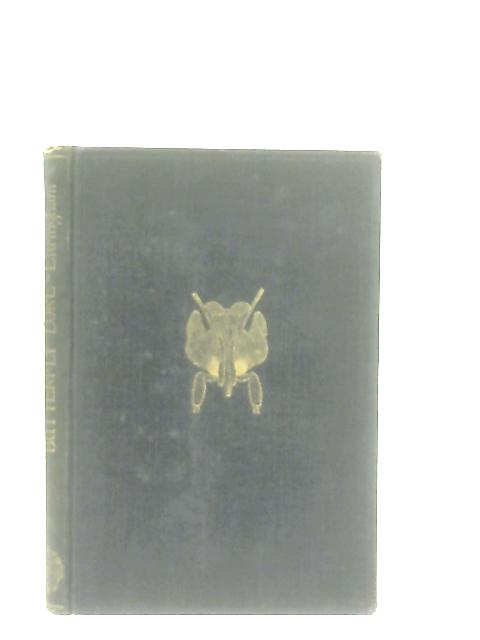 Butterfly Lore von H. Eltringham