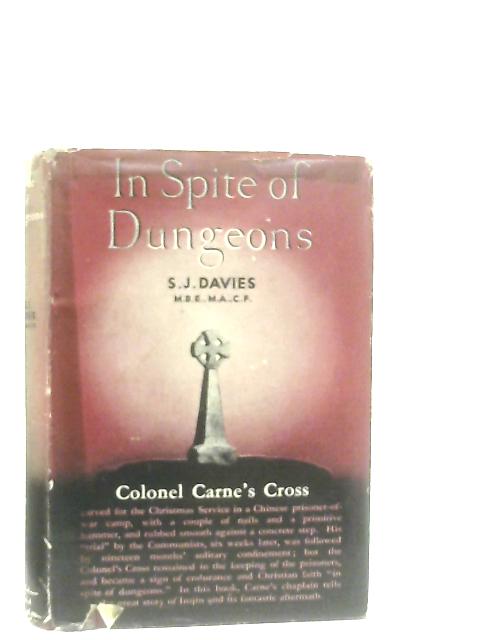 In Spite of Dungeons By S. J. Davies