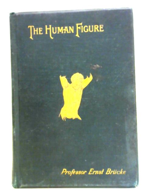 The Human Figure: Its Beauties and Defects von Ernst Brucke