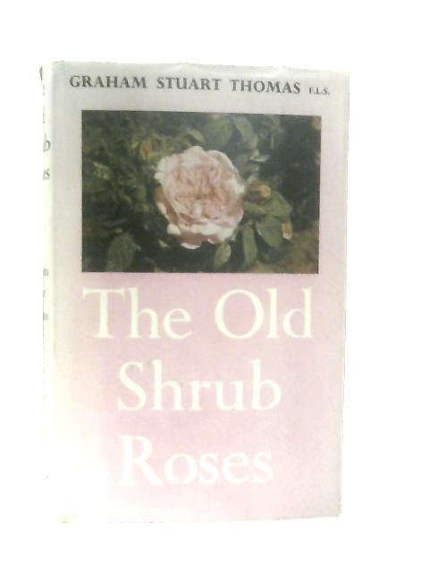 The Old Shrub Roses By Graham Stuart Thomas