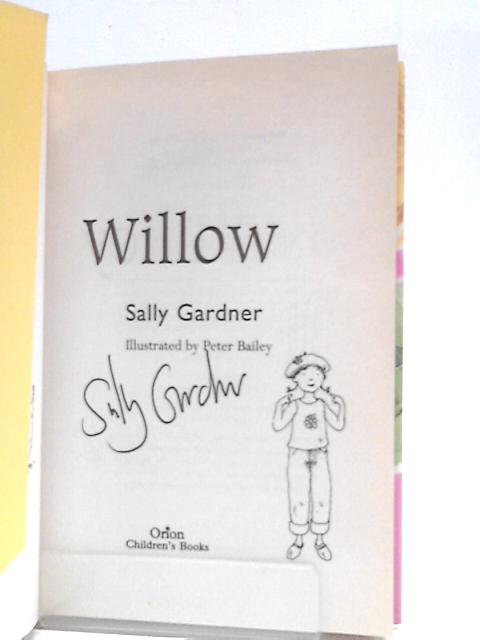 Lucy Willow By Sally Gardner