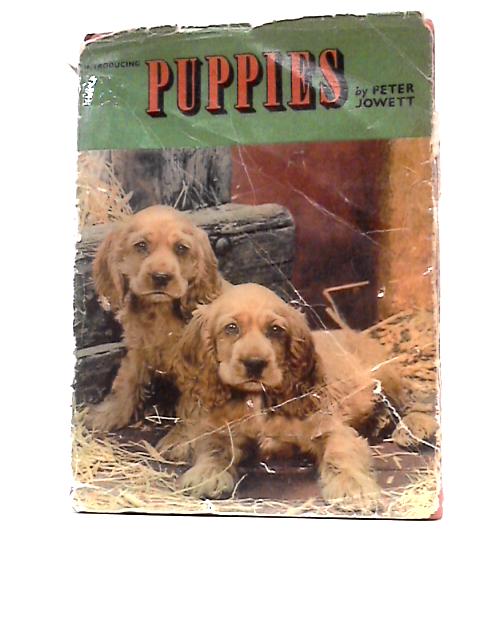 Introducing Puppies By Peter Jowett