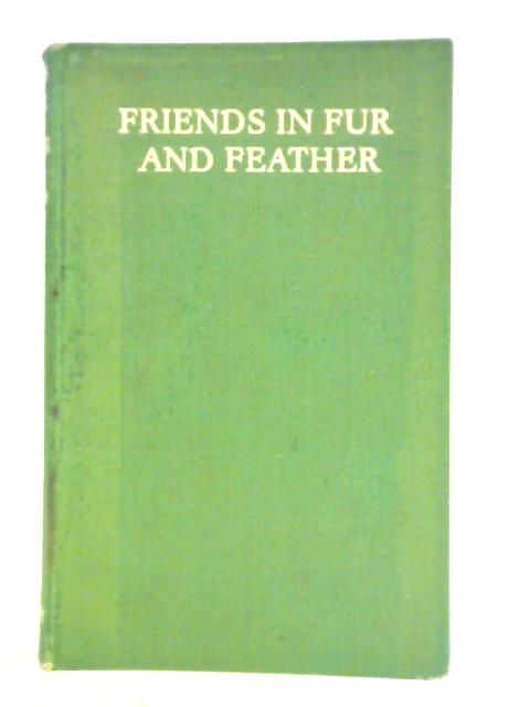 Friends In Fur And Feather By Frances Pitt