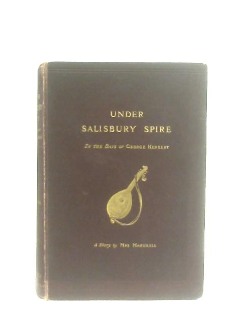 Under Salisbury Spire von Emma Marshall