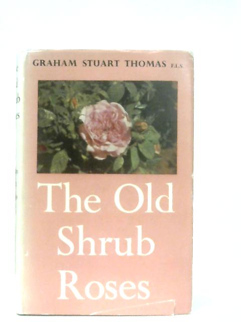 The Old Shrub Roses von G. S. Thomas