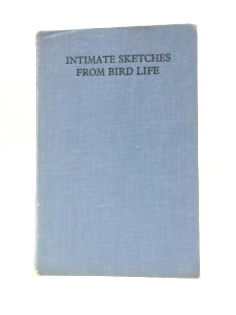 Intimate Sketches From Bird Life von Eric J.Hosking And Cyril W.Newberry