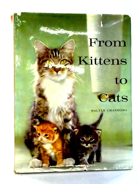 From Kittens To Cats par Walter Chandoha